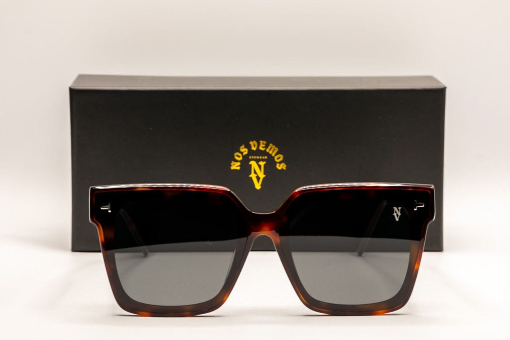 Boulevard tortoise
