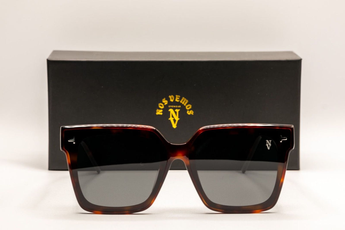 Boulevard tortoise