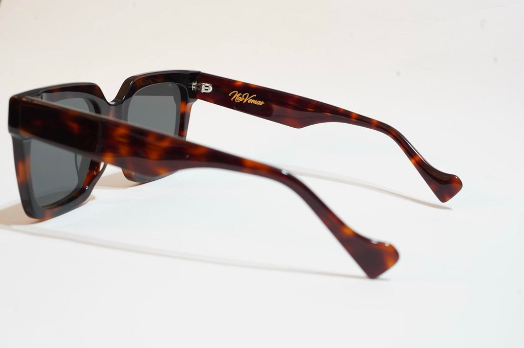 Boulevard tortoise