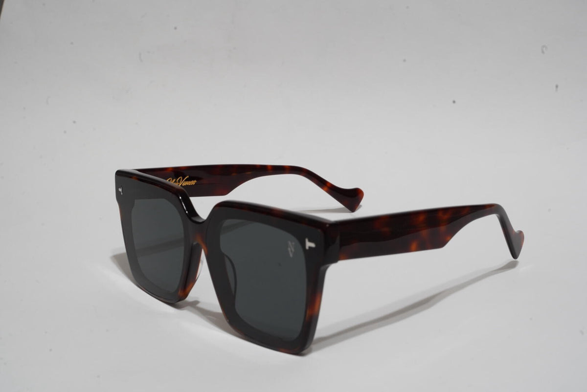 Boulevard tortoise